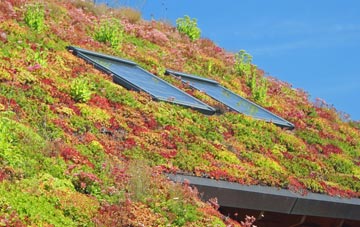 Knowbury living roof systems