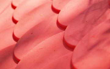 Knowbury plastic roof costs